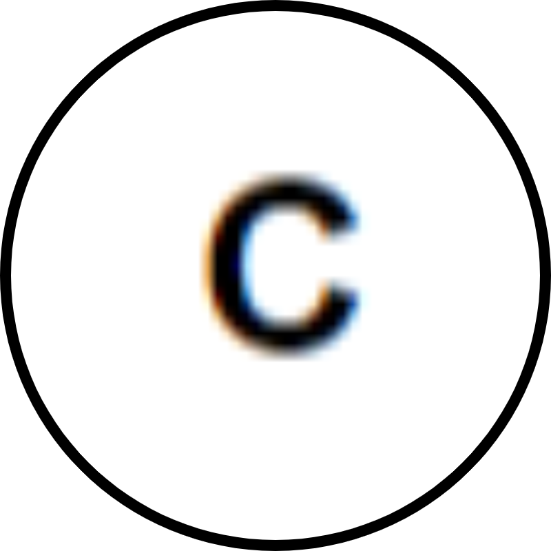 Image C